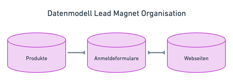 Lead Magnet Organisation mit Notion